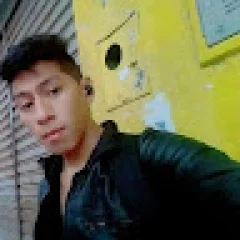 Erwin Thola mamani