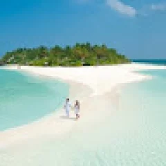 Mohamed V. Musthafa (Vids)